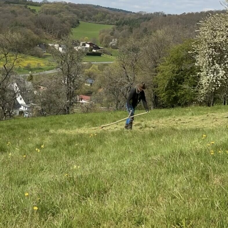 Pflanzplots Vorbereitung (Einsatz einer Heidesense)