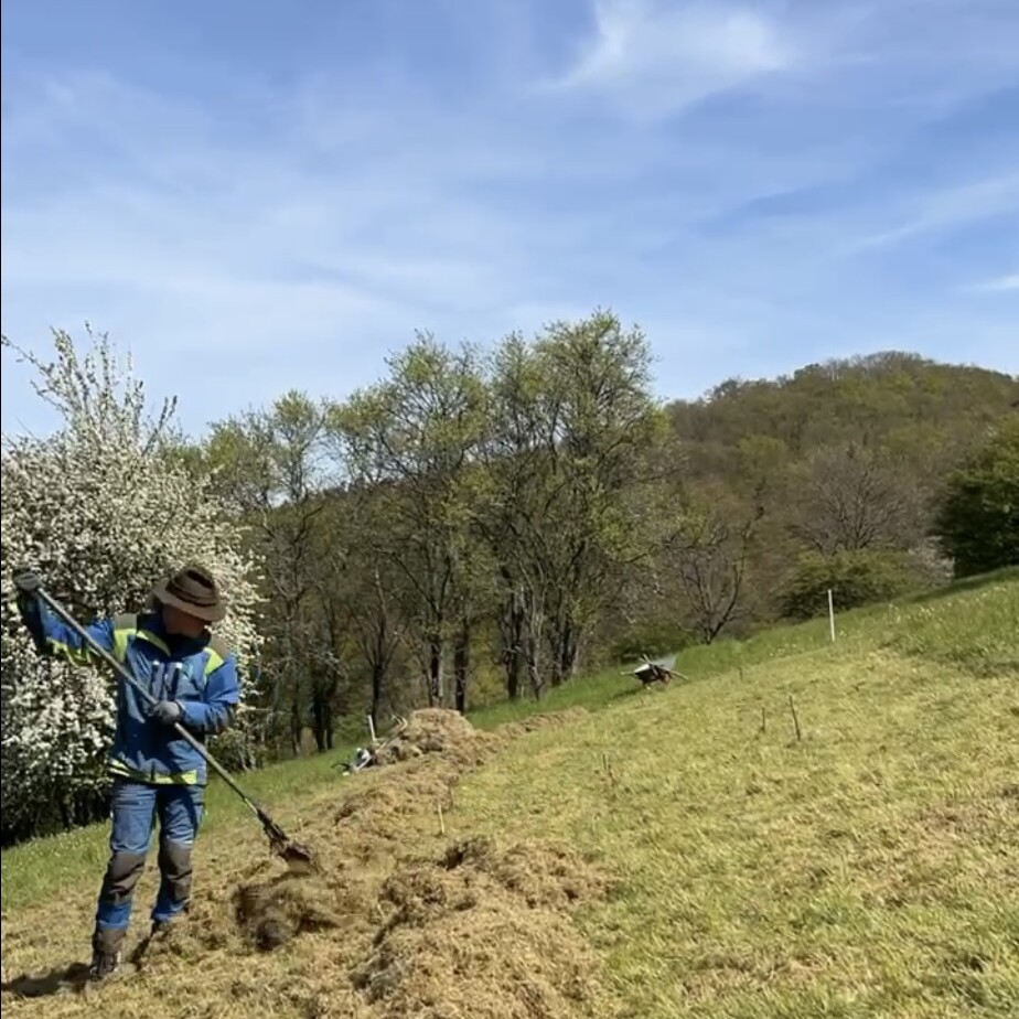 Pflanzflächen Vorbereitung