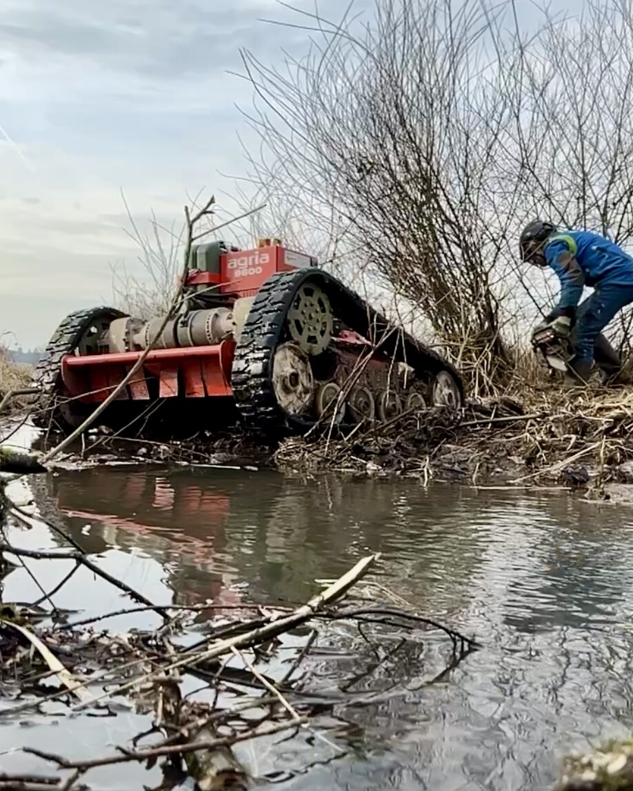 Gehölzschnitt in Feuchtgebieten
