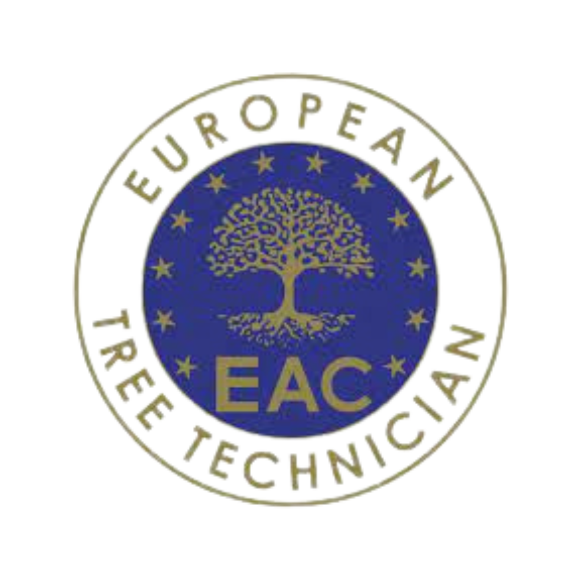 european tree technician